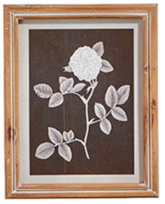 Botanical Floral Framed Print