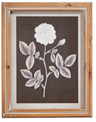Botanical Floral Framed Print