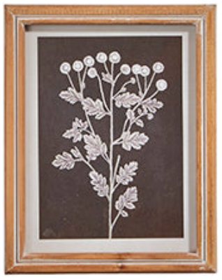 Botanical Floral Framed Print