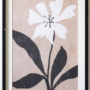 Framed Flower Prints Under Glass