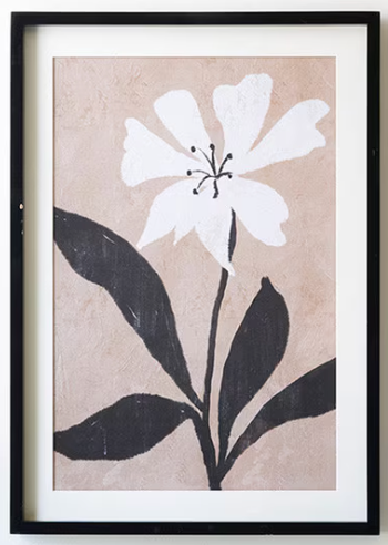 Framed Flower Prints Under Glass