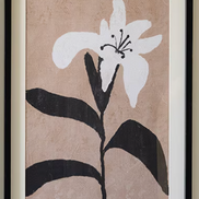 Framed Flower Prints Under Glass