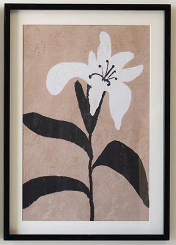 Framed Flower Prints Under Glass