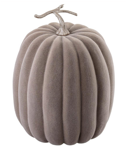 Taupe Pumpkin
