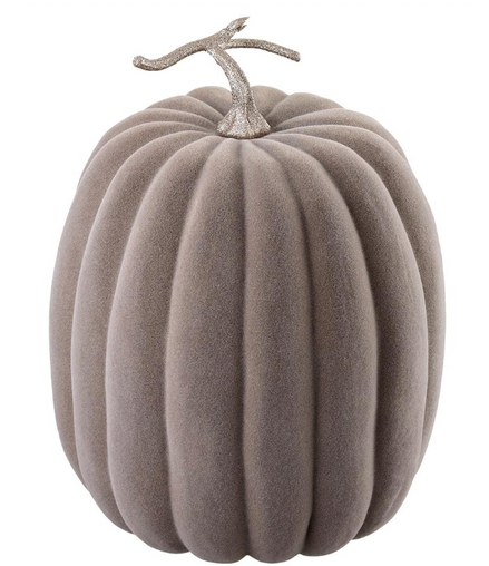 Taupe Pumpkin