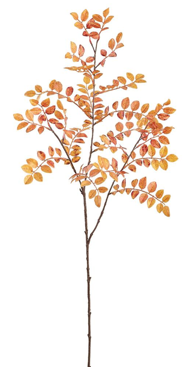 Orange Honeysuckle Spray