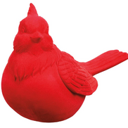 Red Cardinal