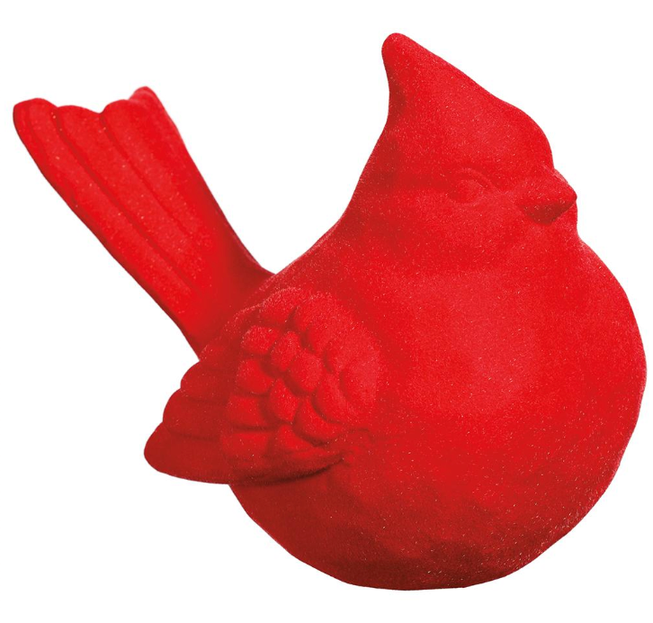 Red Cardinal