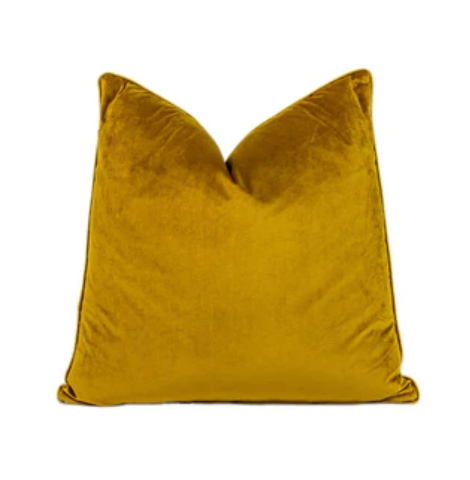 Velvet Pillow