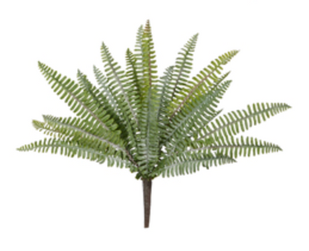 16" Fern Bush Pick