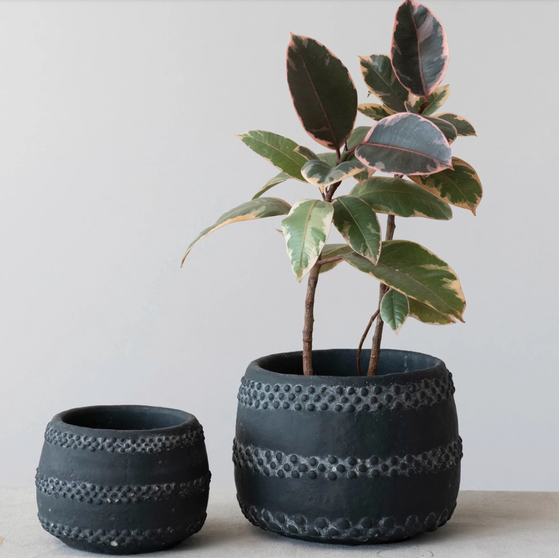 Round Terracotta Planter with Raised Dots