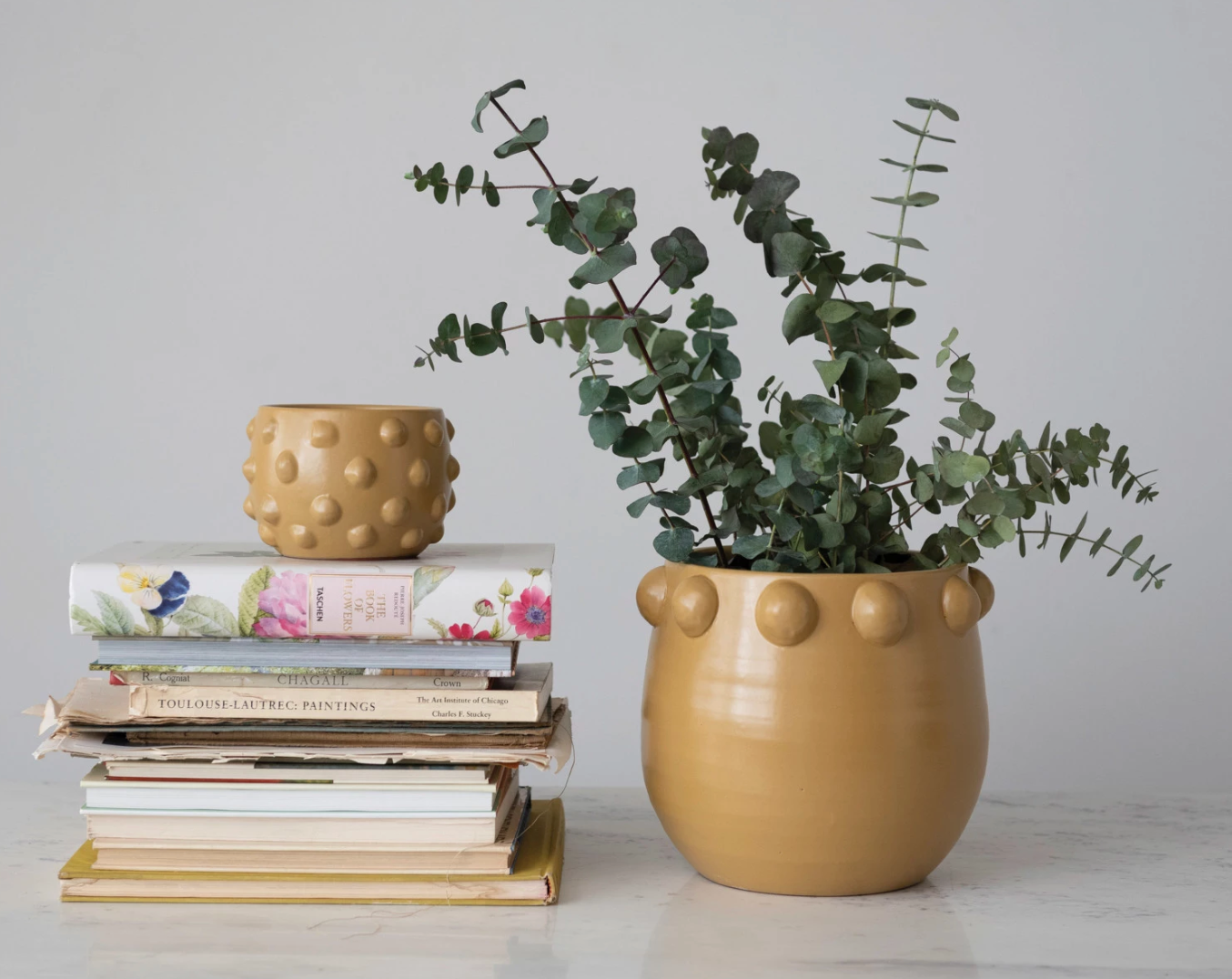 Terracotta Planter w/ Raised Dots around rim