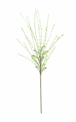 Stem 46" Spriggy