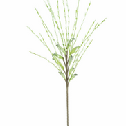 Spriggy Stem