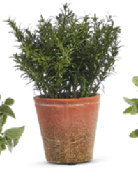 12" Soft Touch Potted Herb
