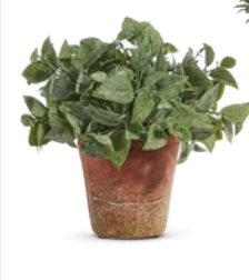 12" Soft Touch Potted Herb