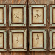 Framed Botanical Prints