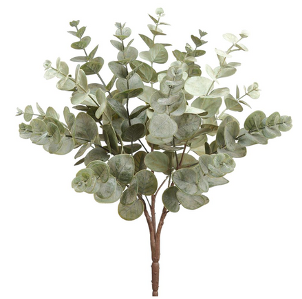 Eucalyptus Bush Green Gray