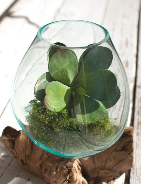 Blown Glass Bowl on Driftwood Base