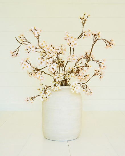 Japanese Cherry Blossom Stem