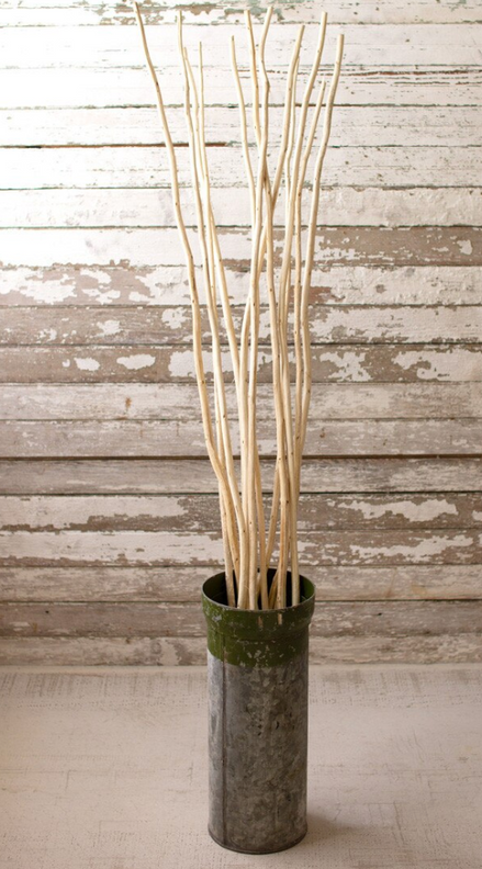 Natural Kambooi Branches