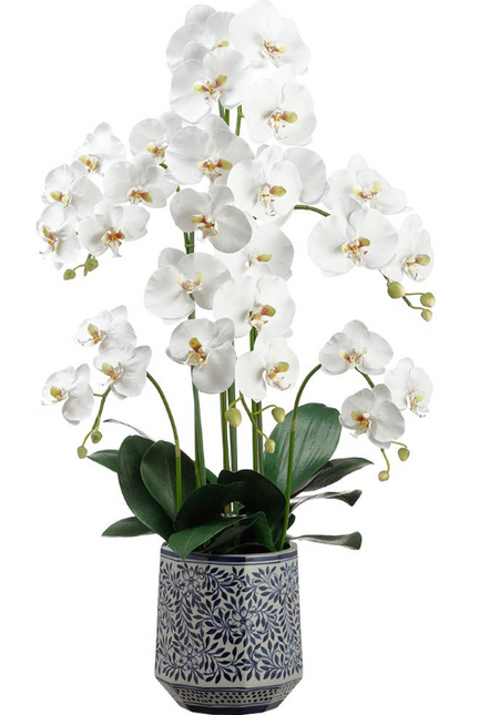 37" Phalaenopsis Orchid Plant in Ceramic Vase