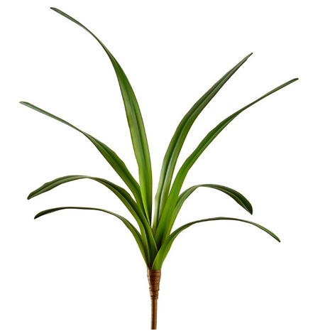 26.5" Cymbidium Orchid Leaf Plant