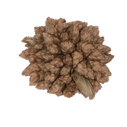 Star Flower Natural