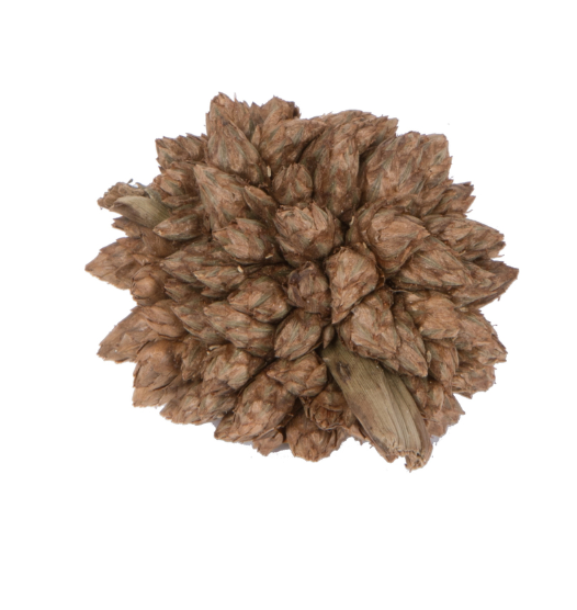 Star Flower Natural