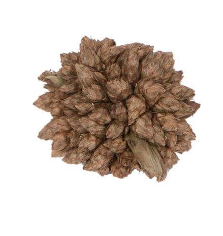 Star Flower Natural