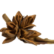 Aspen Gold Star Pod