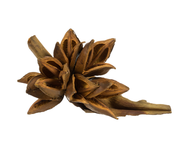 Aspen Gold Star Pod