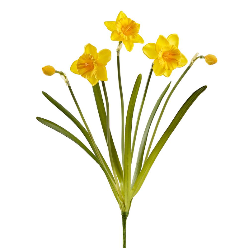 19" Daffodil Bush
