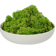 Bag of Preserved Reindeer Moss