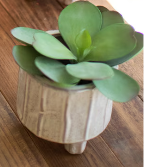 White Ceramic Planters