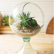 Round Glass Display