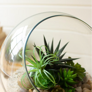 Round Glass Display