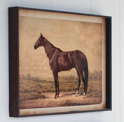 Wall Art Horse Prints Under Glass