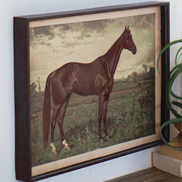 Wall Art Horse Prints Under Glass