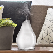 Tulip Glass Vase Diffuser
