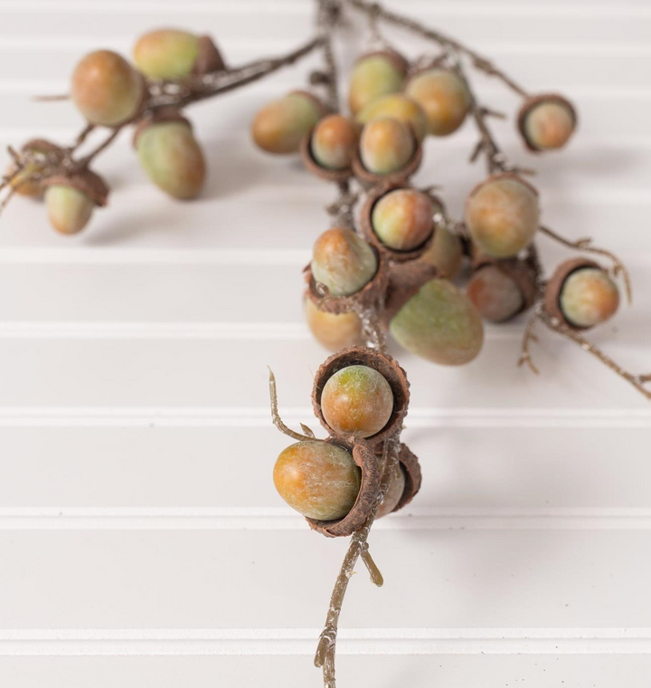 Green Acorn Stem