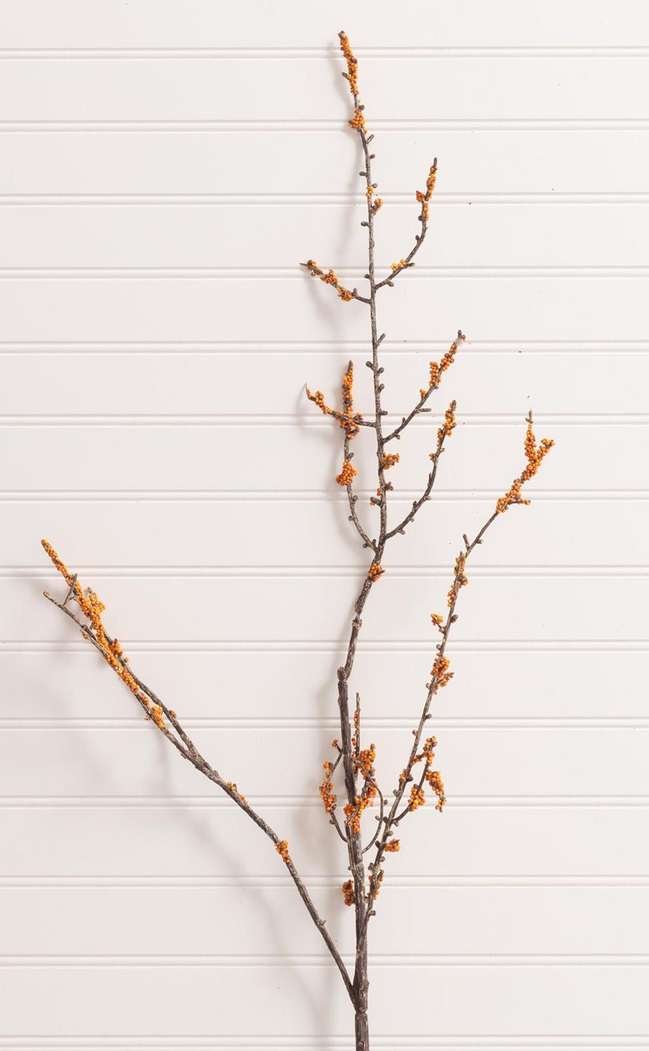 Orange Berry Stem
