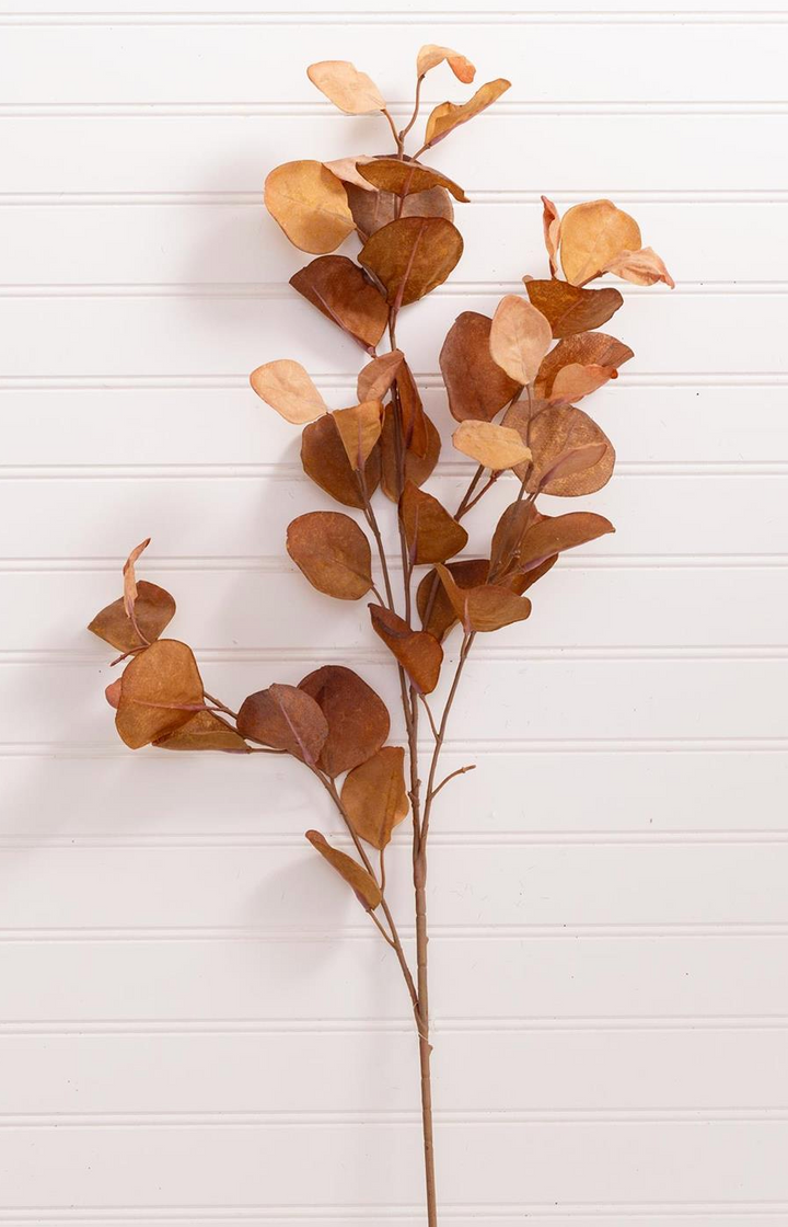 Eucalyptus Leaf Stem