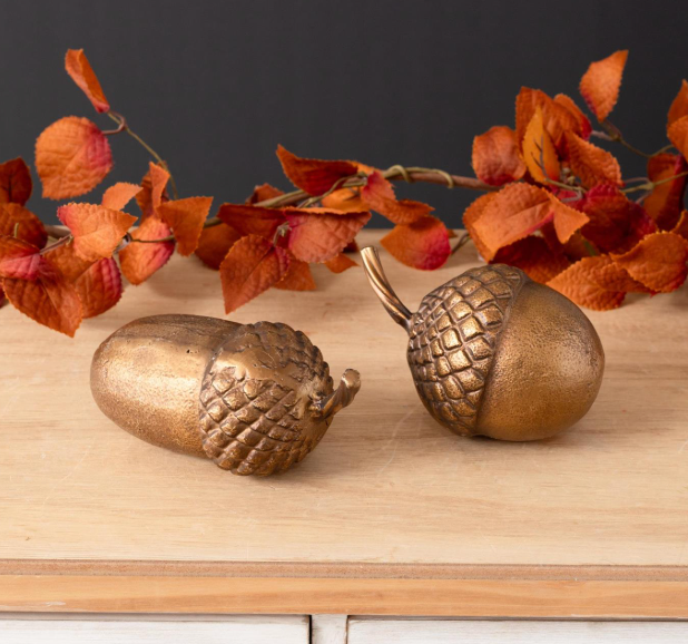 Brass Finish Acorn Accents