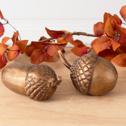 Brass Finish Acorn Accents