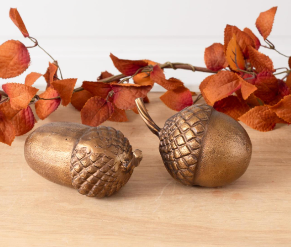 Brass Finish Acorn Accents