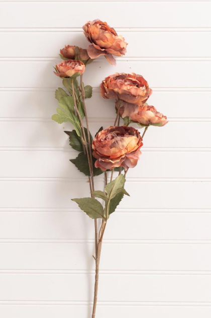 Rust Pick-Ranunculus Stem