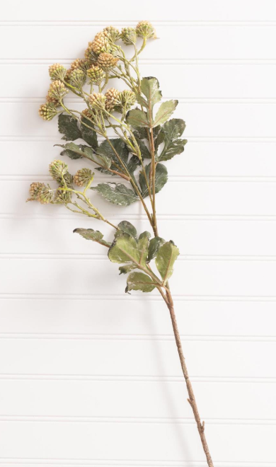 Cream Ball Spray Stem