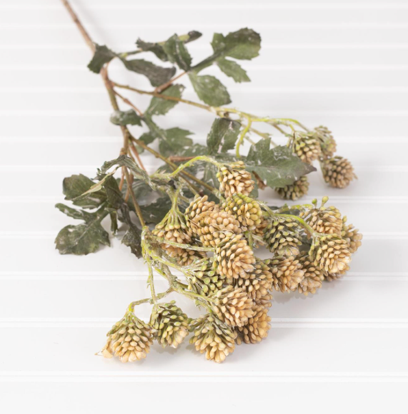 Cream Ball Spray Stem