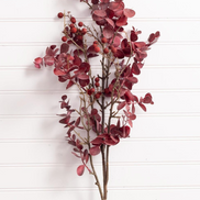 Red Eucalyptus Leaf Branch